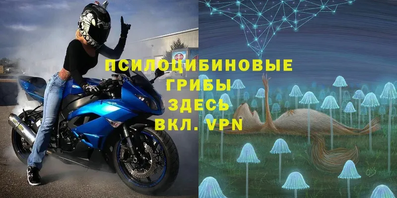 Галлюциногенные грибы Magic Shrooms  Алушта 